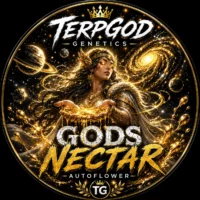 Terpgod Genetics - Autoflower - Gods Nectar