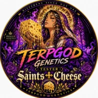 Terpgod Genetics - Fast Flower - Saints Cheese