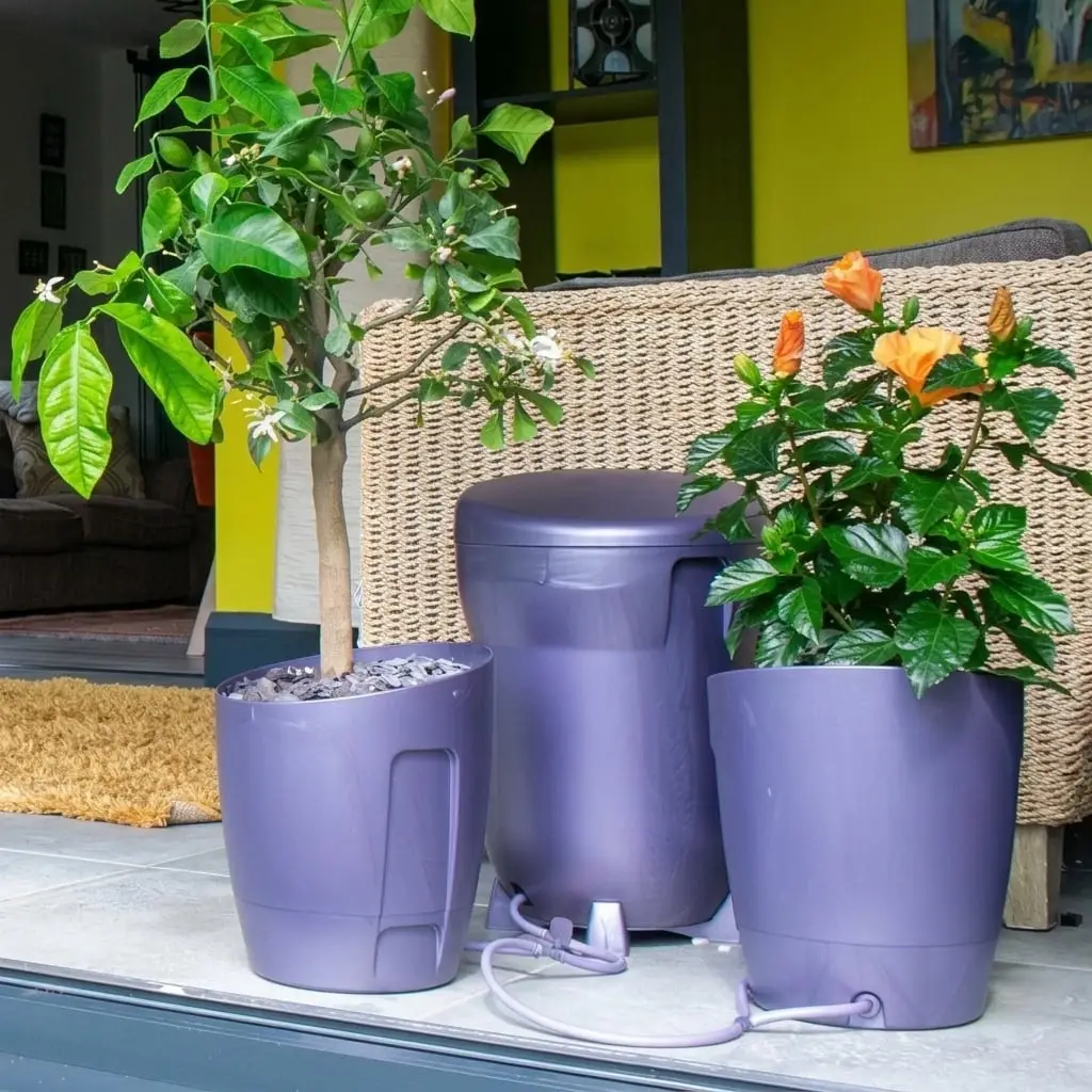 Autopot Khloris Self-Watering System - Blackberry
