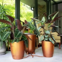 Autopot Khloris Self-Watering System - Copper