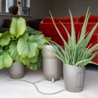 Autopot Khloris Self-Watering System - Sage