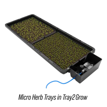 Autopot Tray2Grow Microherb Tray With Holes inside Tray2Grow system