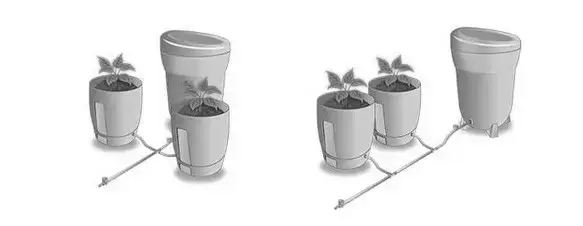 Khloris - Arrangment options Small